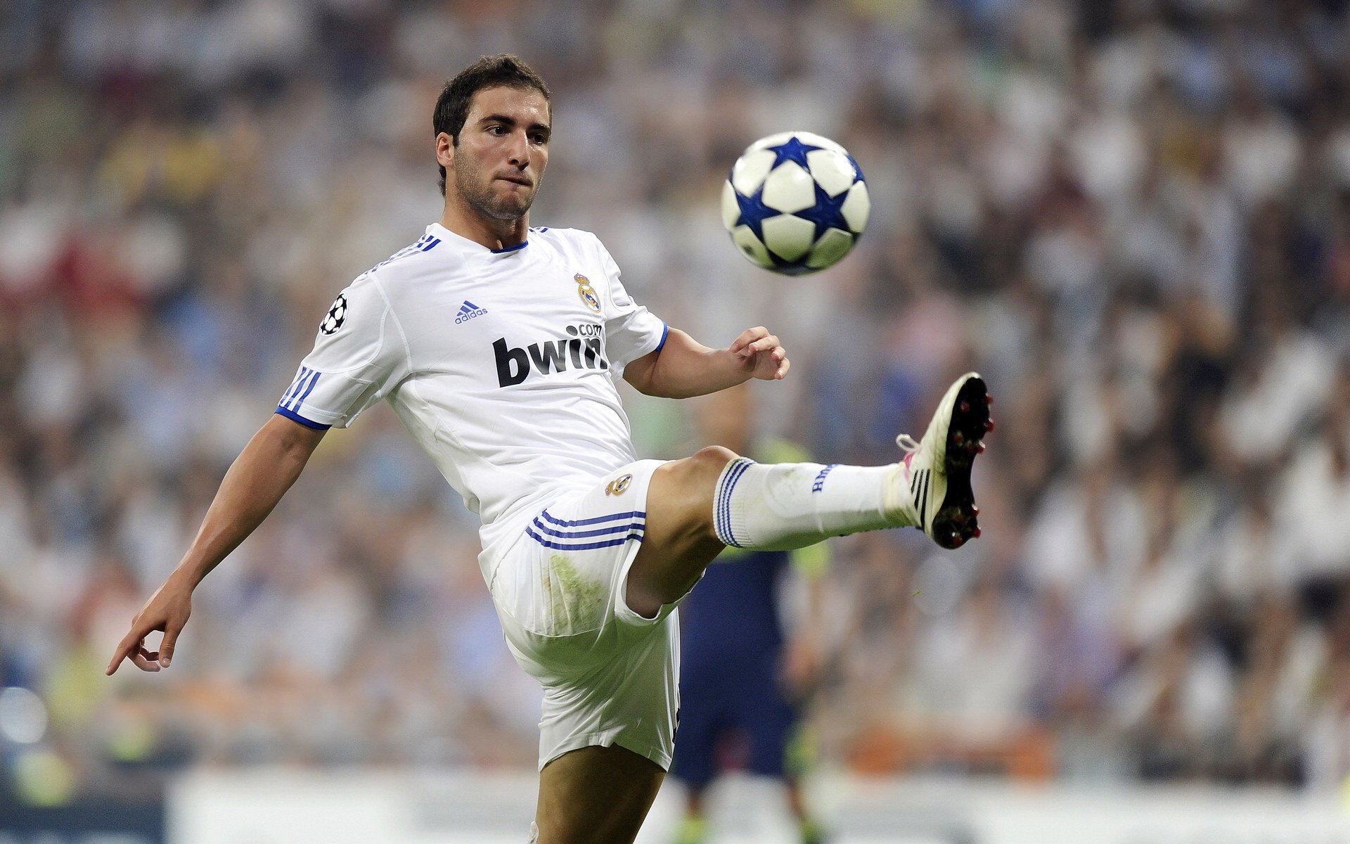 宝贝,300条目标正在逐步接近中!